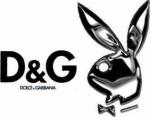 l ag�rie en force